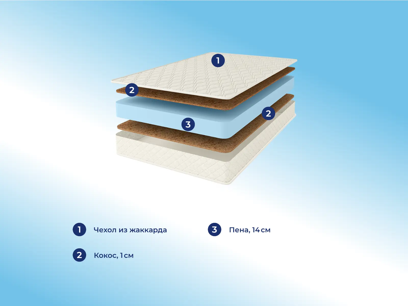 Comfort Line Double Cocos Eco Roll � ������