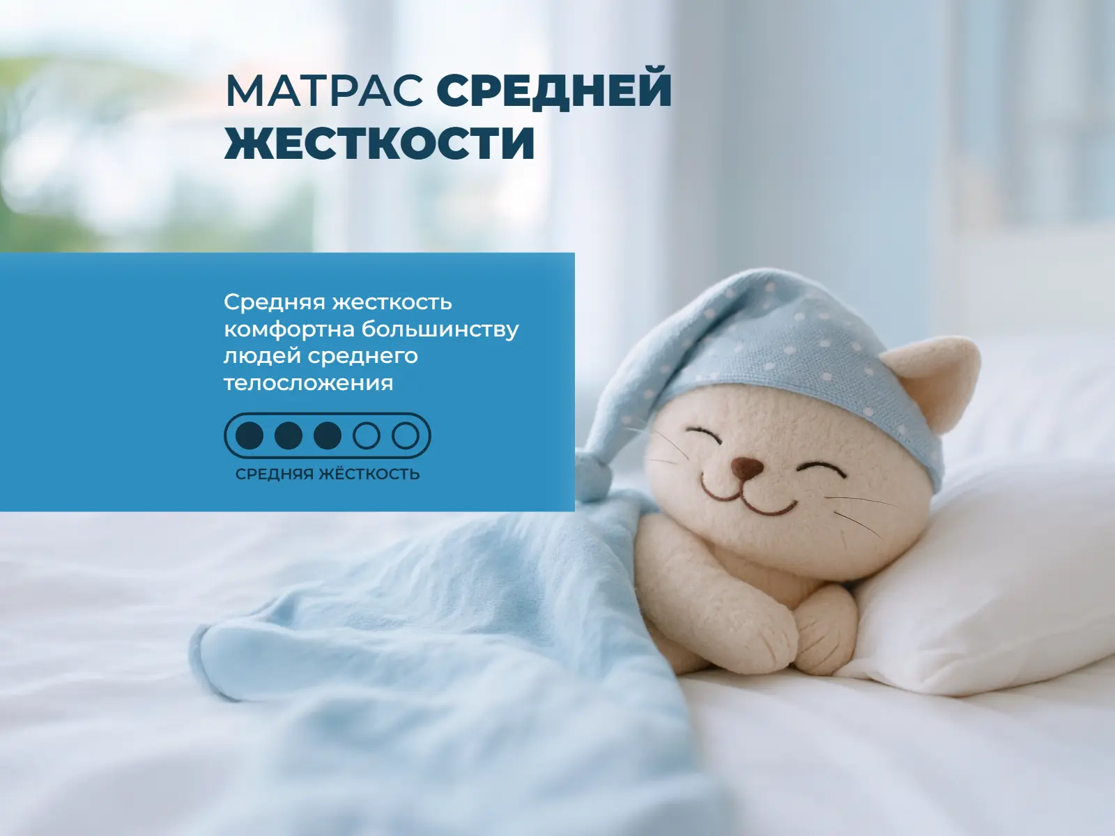 ������� ���� ���� ���