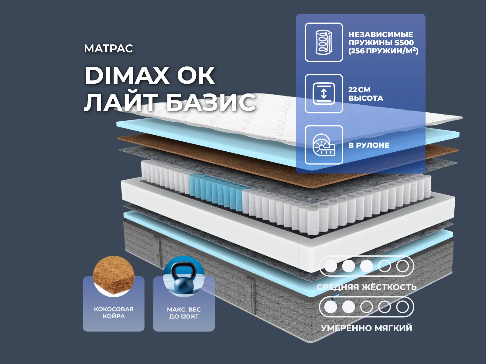 Dimax �� ���� �����