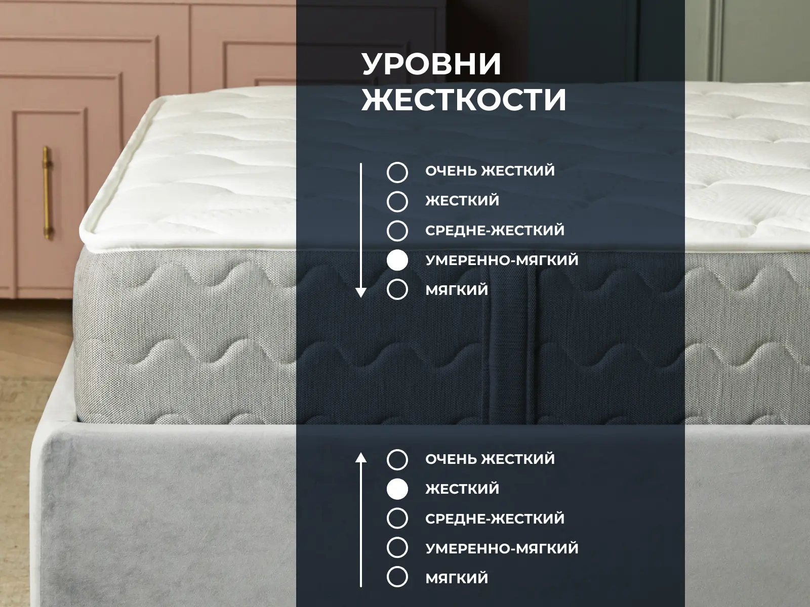 ������ Dimax �� ����� ���� ��������