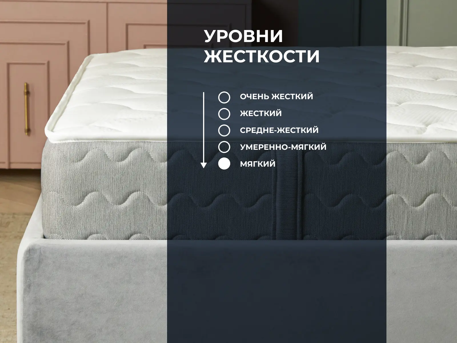 ������ Dimax �� ���� ��������