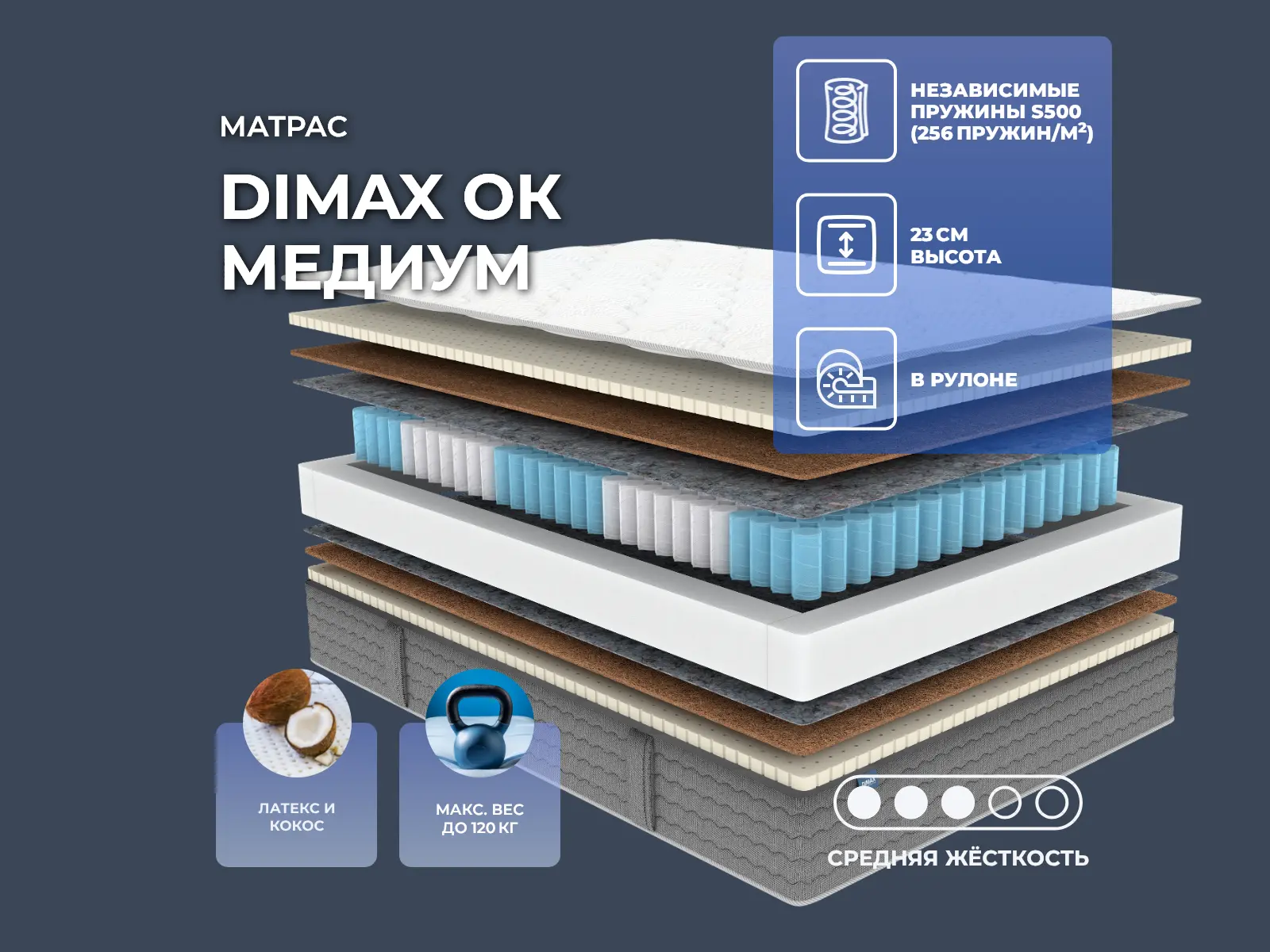 ���-10 ������ ��������� �������� 2025 ����: Dimax OK Medium