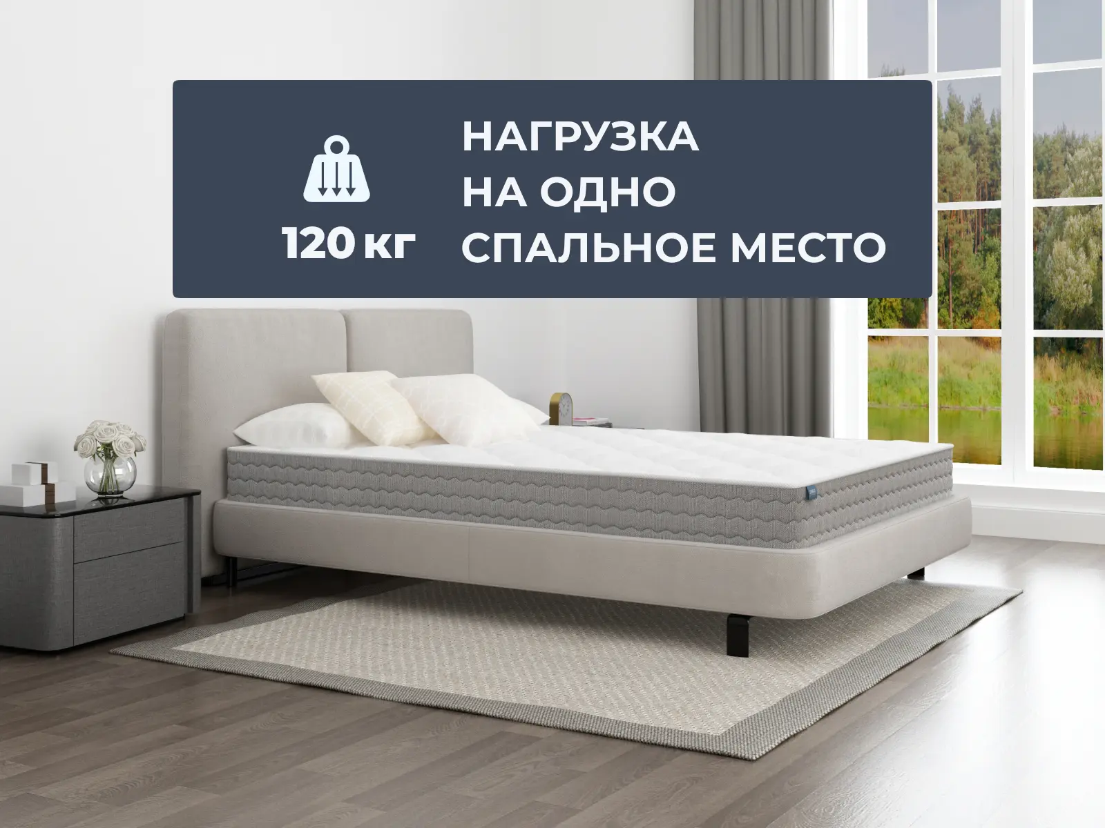 ������ Dimax �� ����� ���� � ����������� ��������� ����, 256 ������/�&sup2;, 3 ���� ��������� � �������� 3 ����