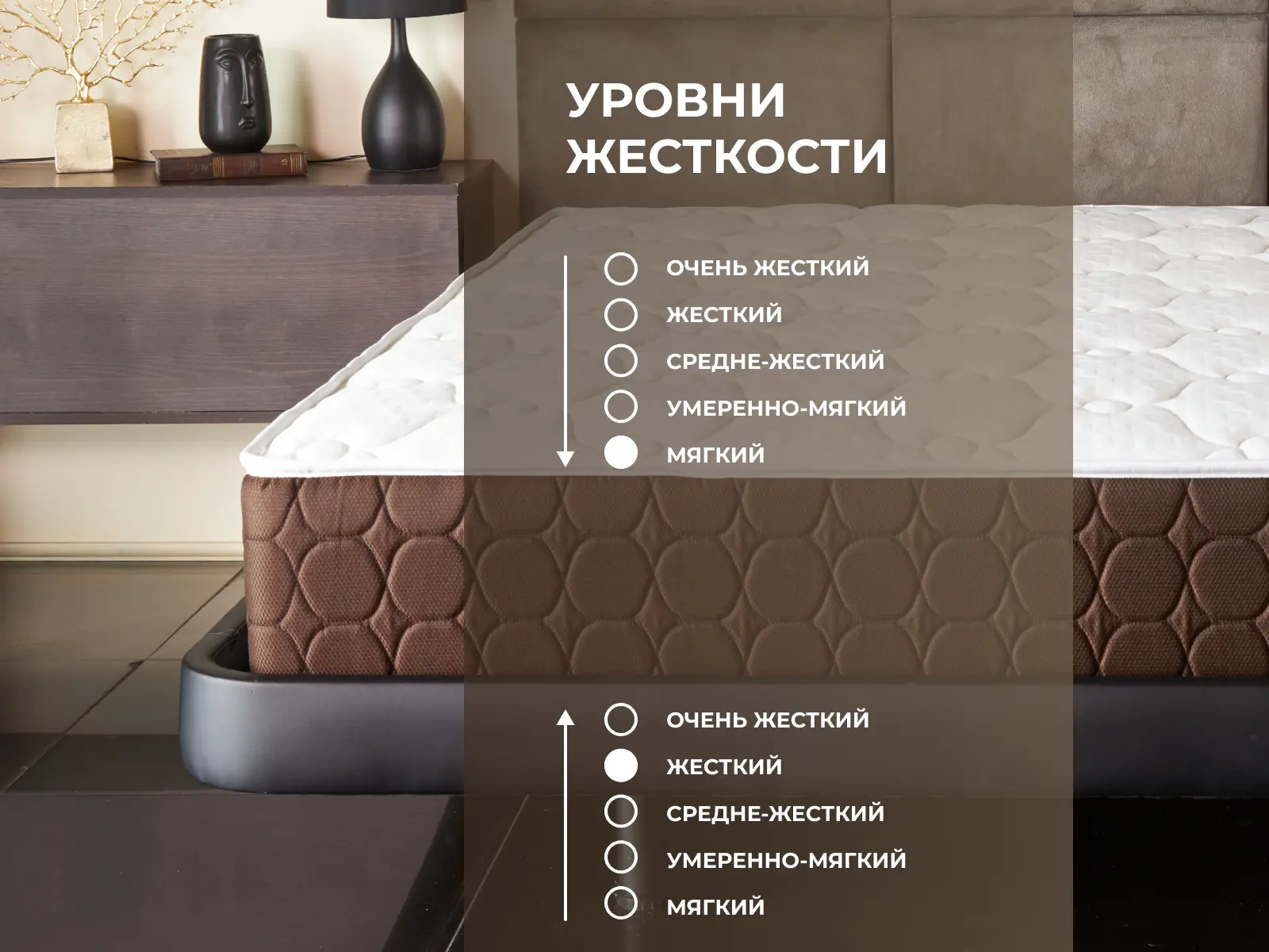 ������ Dimax ���� ���� ���� ��������