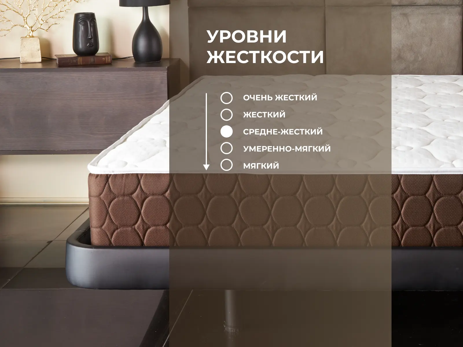 ������ Dimax ���� ������ ��������