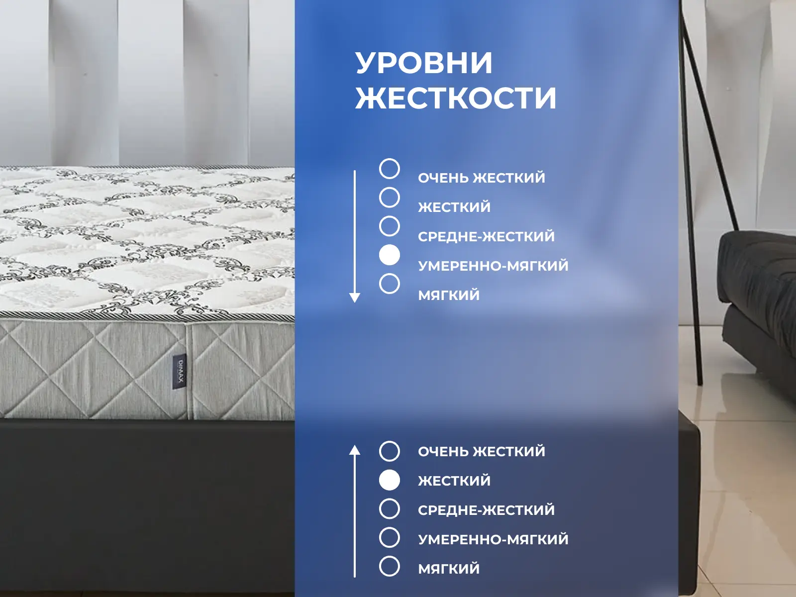 ������ Dimax ����� ���� ����� 15 ��������