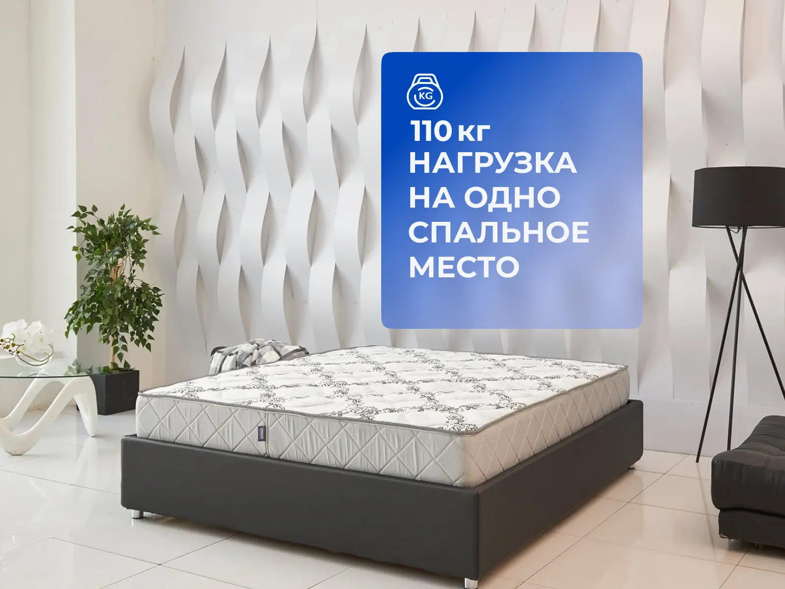 ������ Dimax ����� ���� ��� � [160 x 200 ��] � ���� 30680 �.