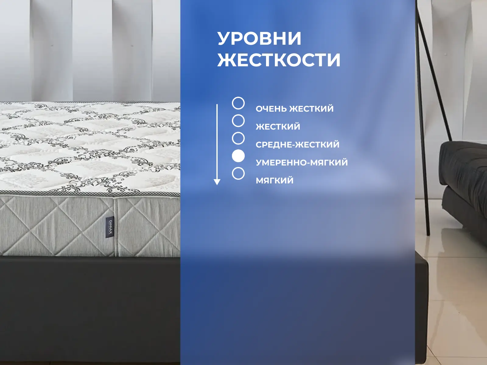 ������ Dimax ����� ���� ������ ��������