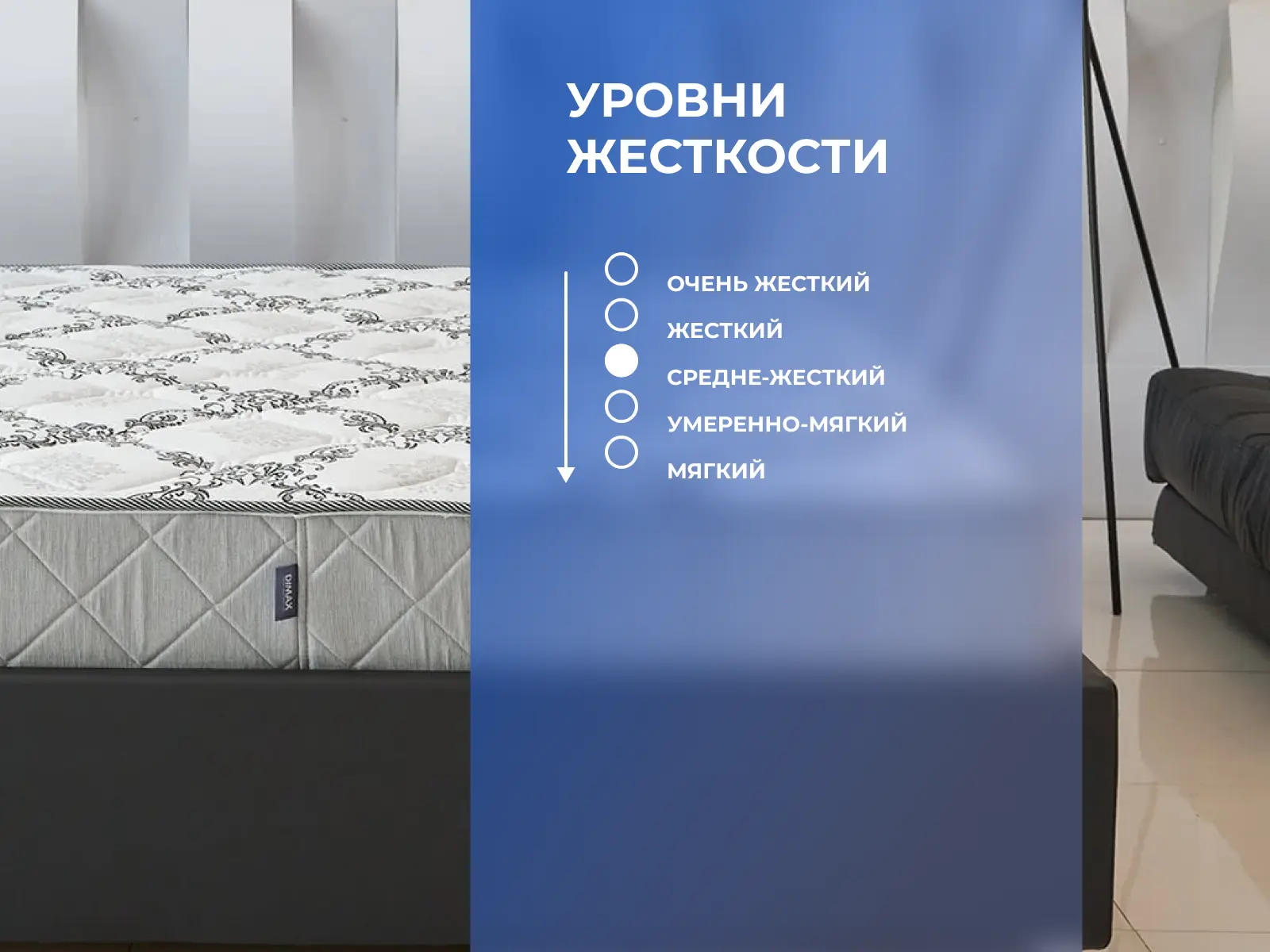 ������ Dimax ����� ���� ������ ���� ��������