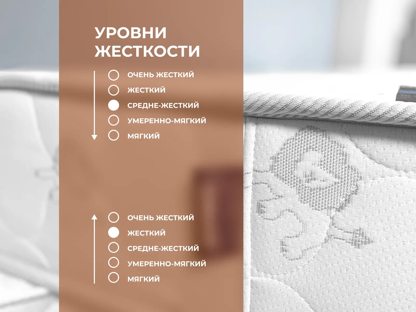 ������� Sportsmen Plus