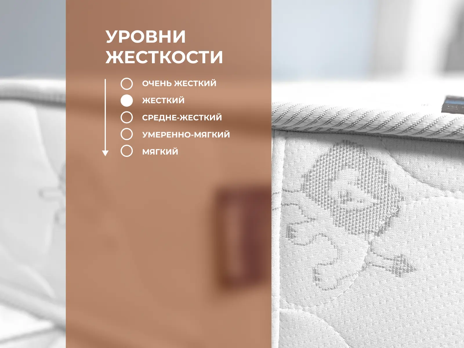 ������� Dremushka Maxi