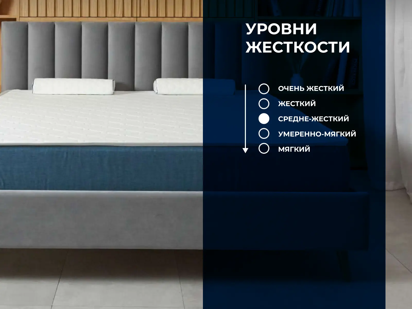 ������ Dimax ������ ���� ���� ��������