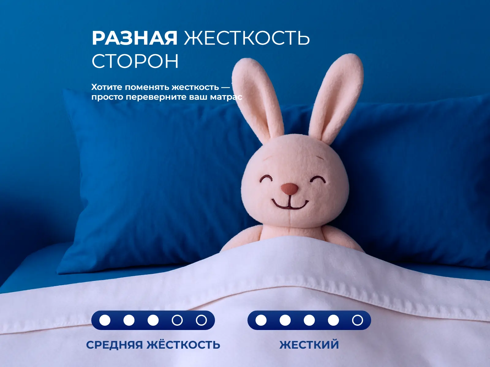 ������ Dreamline Junior Kombi TFK ��������