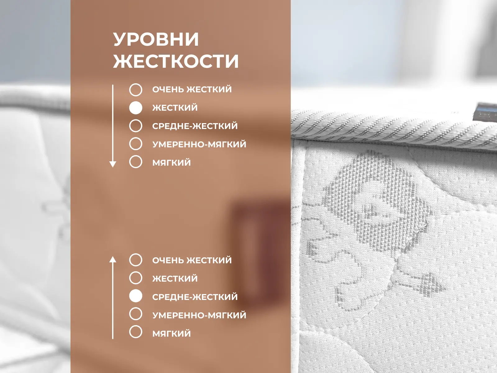 ������� Dimax ��������� (��������)