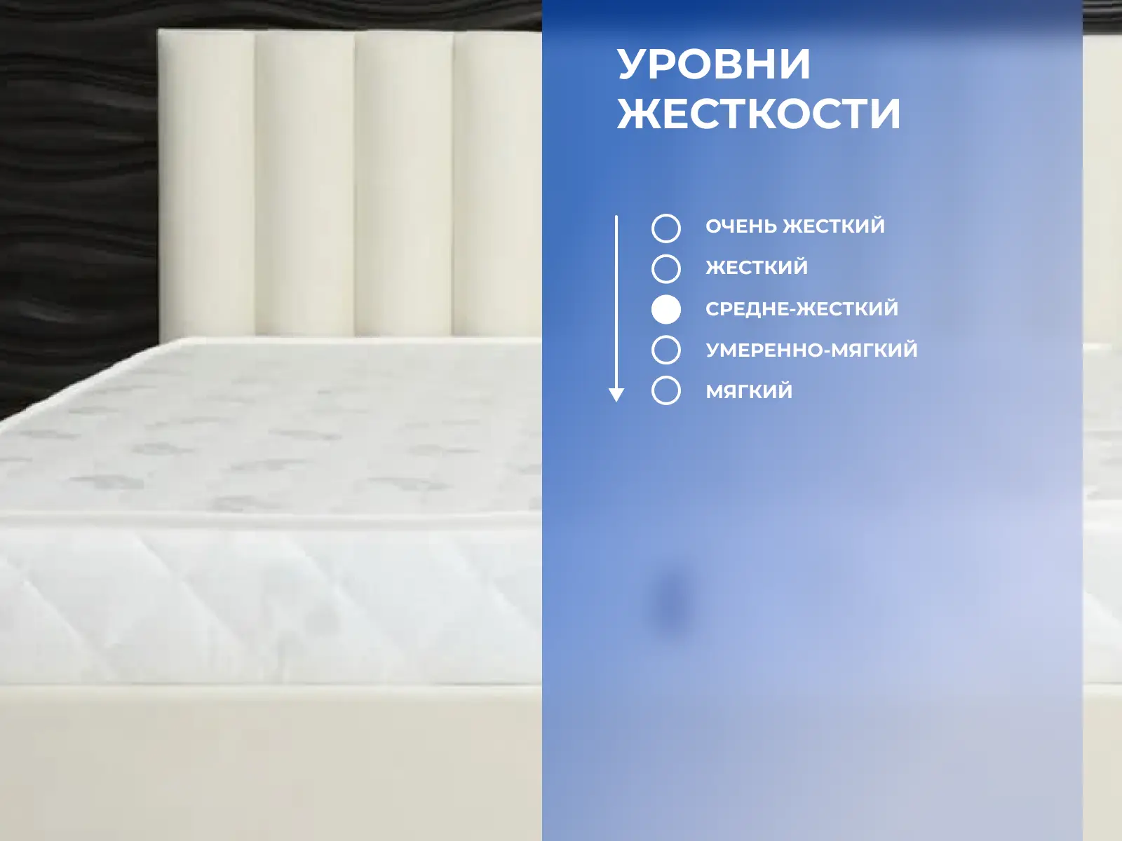 ������ Dimax ������ ������� ���� ��������