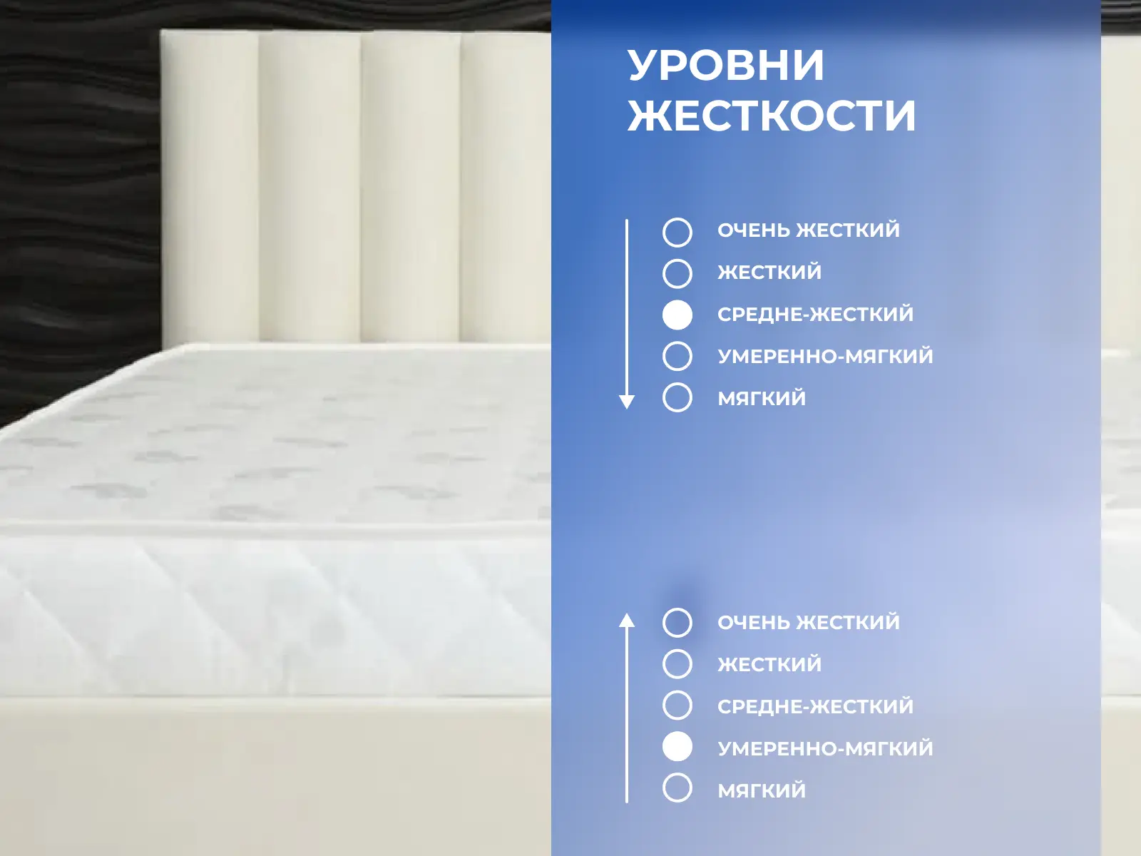 ������ Dimax ������ ������� ���� ���� ��������