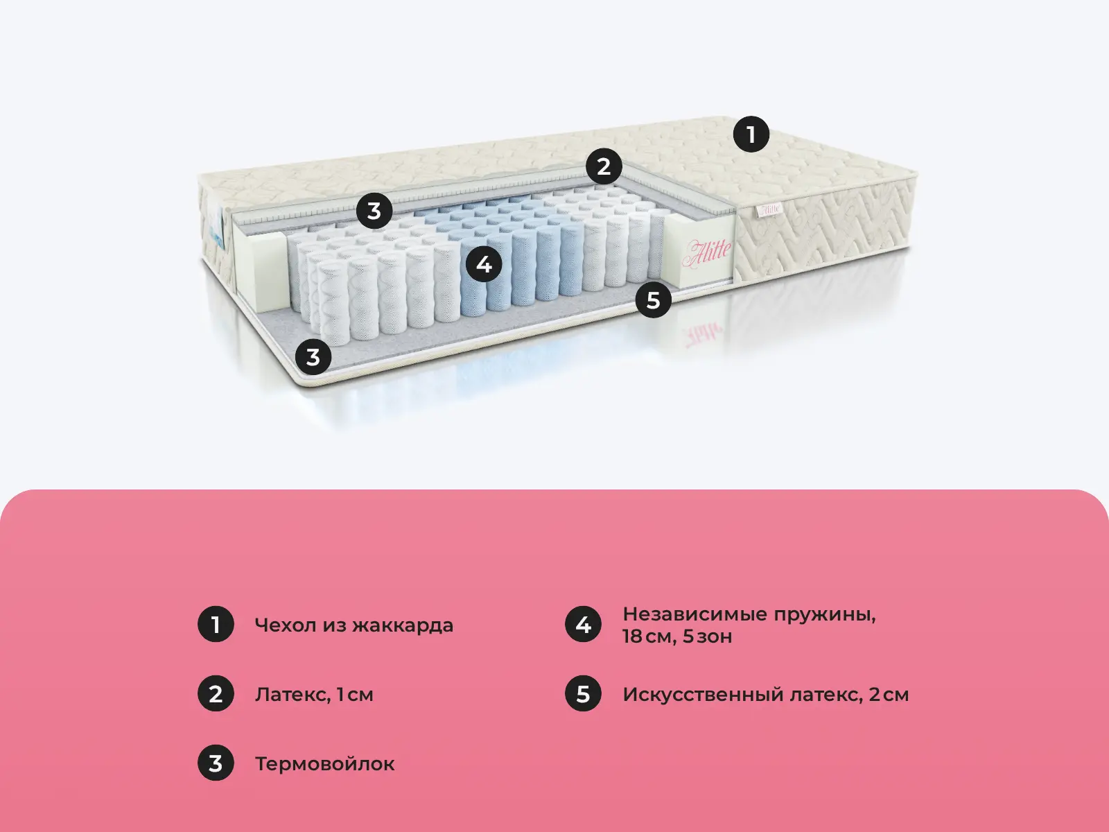 Alitte Exter S-20-K � ������