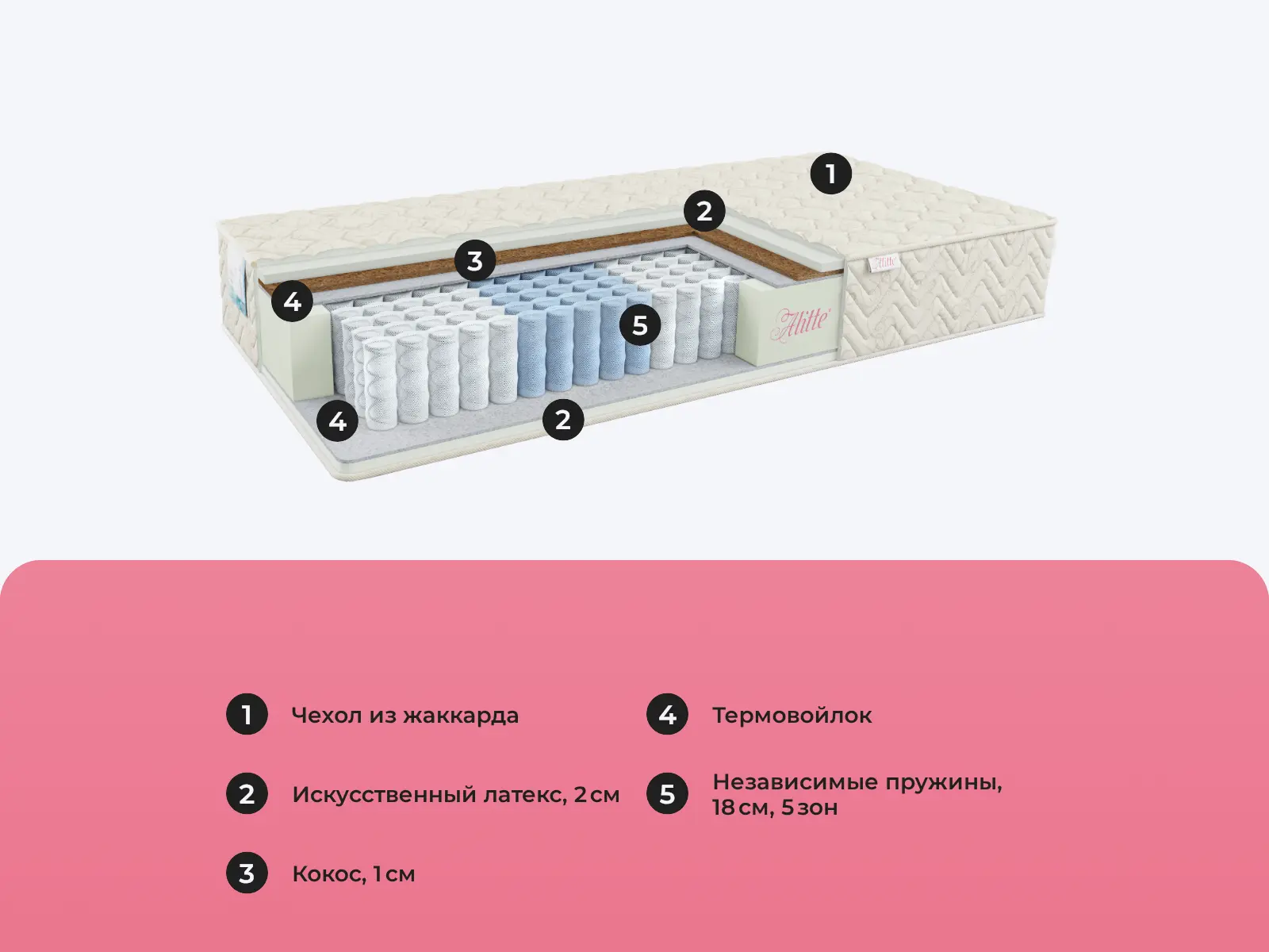 Alitte Canaletto TFK MS-23-K � ������