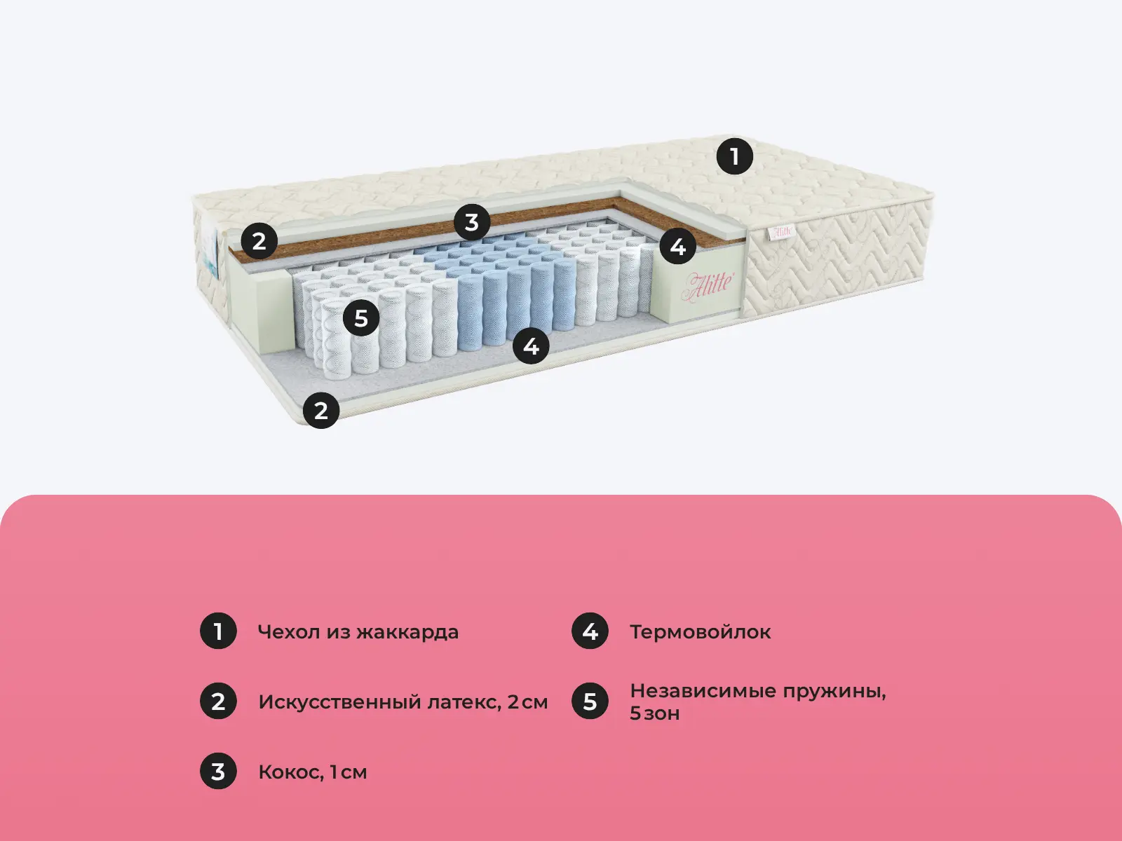 Alitte Canaletto TFK MS-19-K � ������