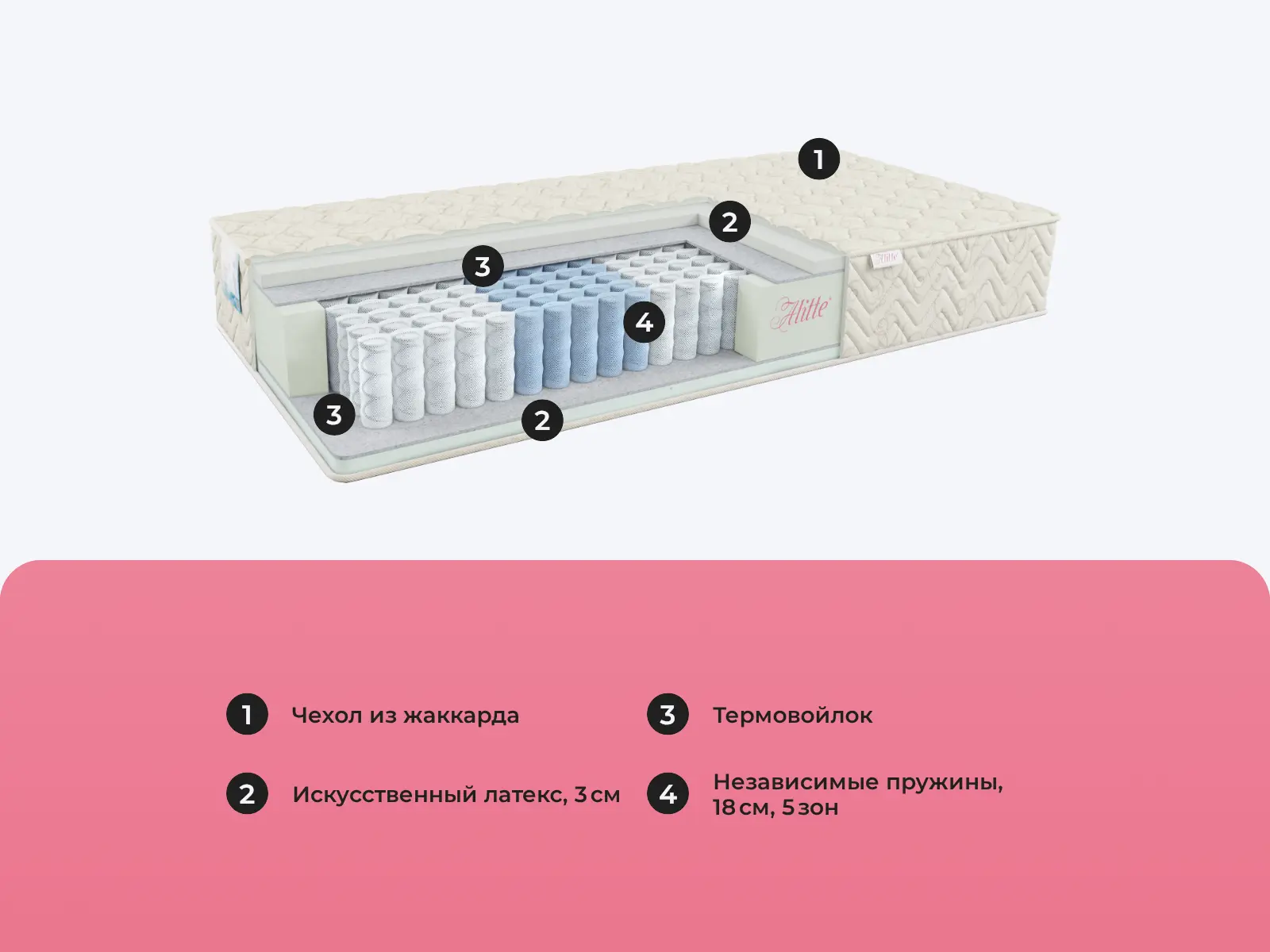 Alitte Gros TFK M-24-E � ������