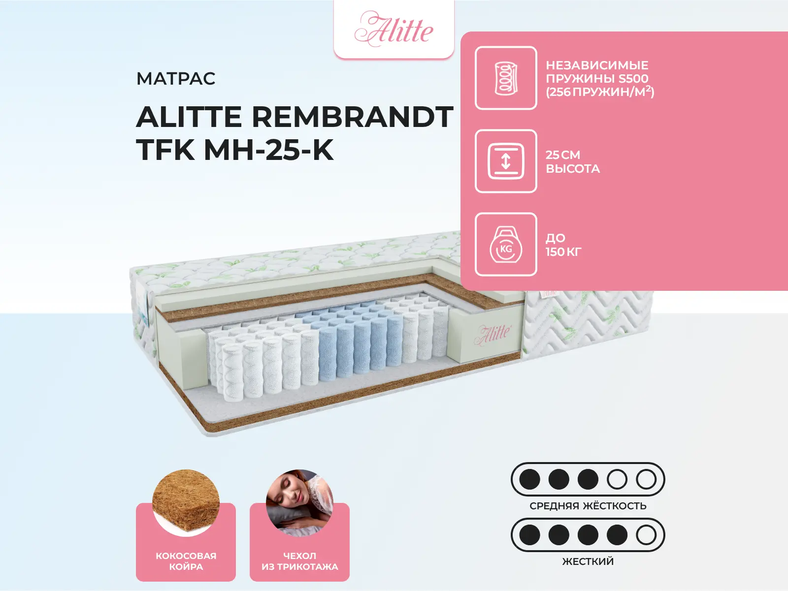 Alitte Rembrandt TFK MH-25-K