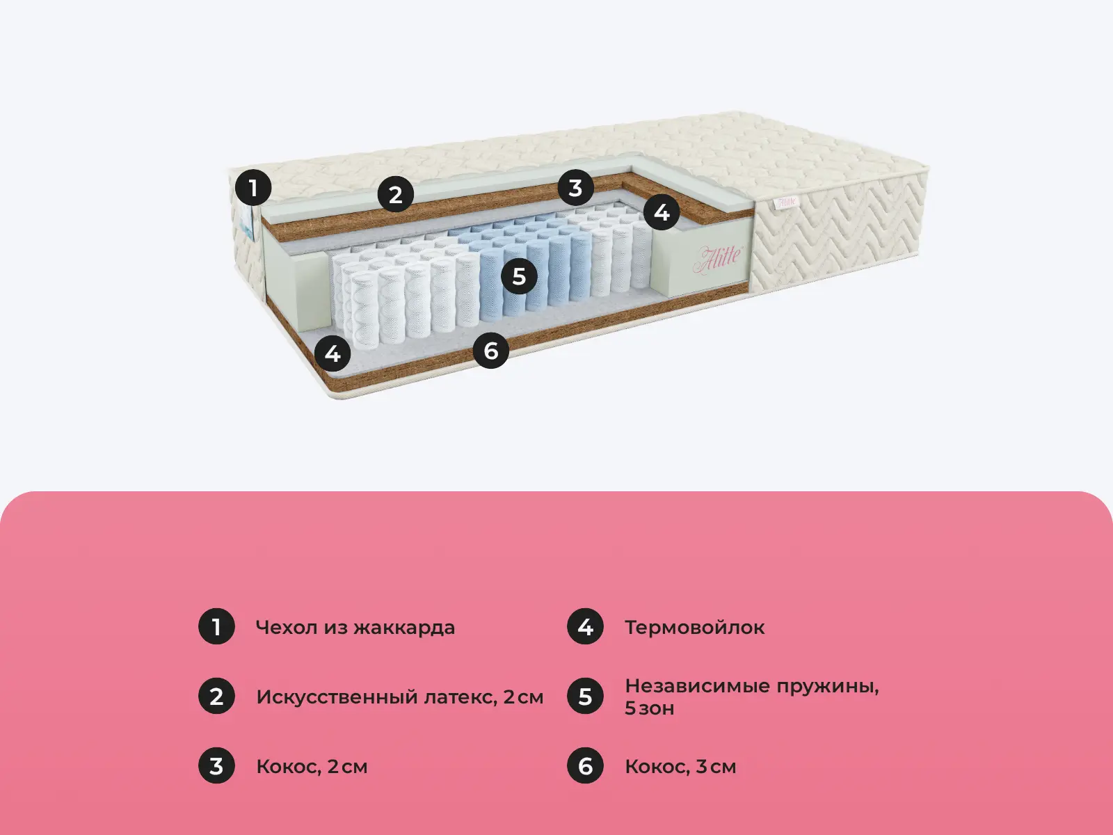 Alitte Vermeer TFK H-21-K � ������