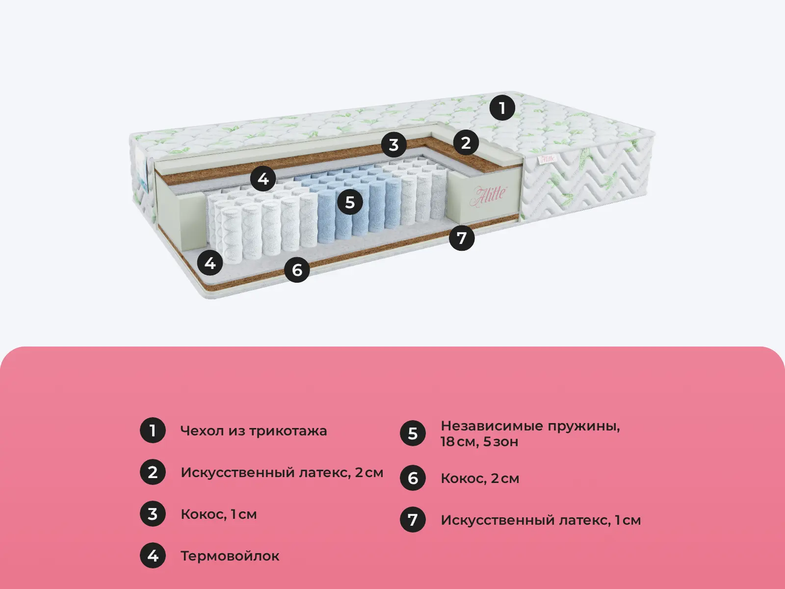 Alitte Durer TFK MH-24-K � ������