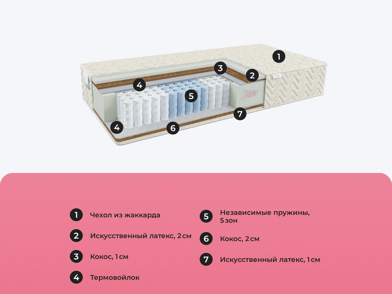 Alitte Durer TFK MH-20-K � ������