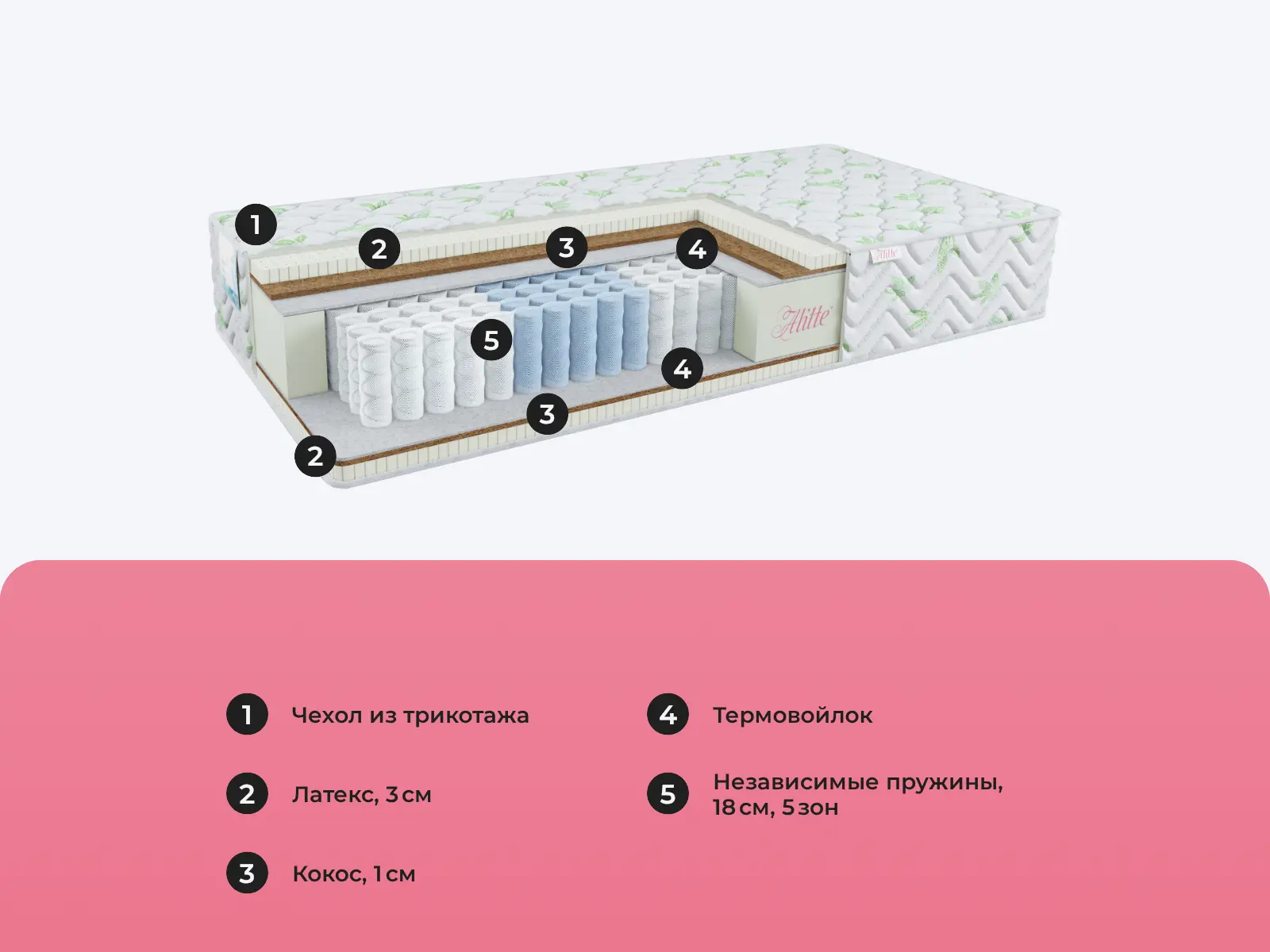 Alitte Meunier TFK M-26-N � ������