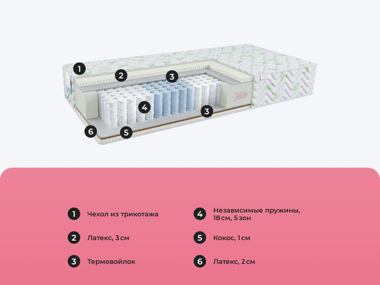 Alitte Lepage TFK SM-24-N � ������