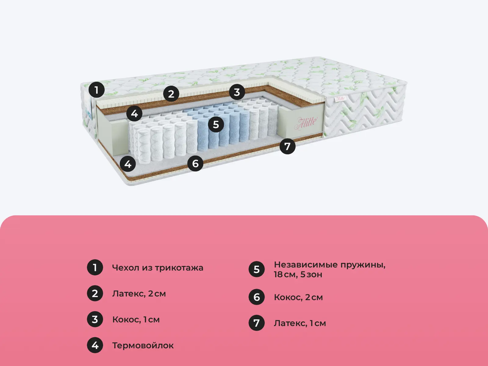 Alitte Mutt TFK MH-24-N � ������