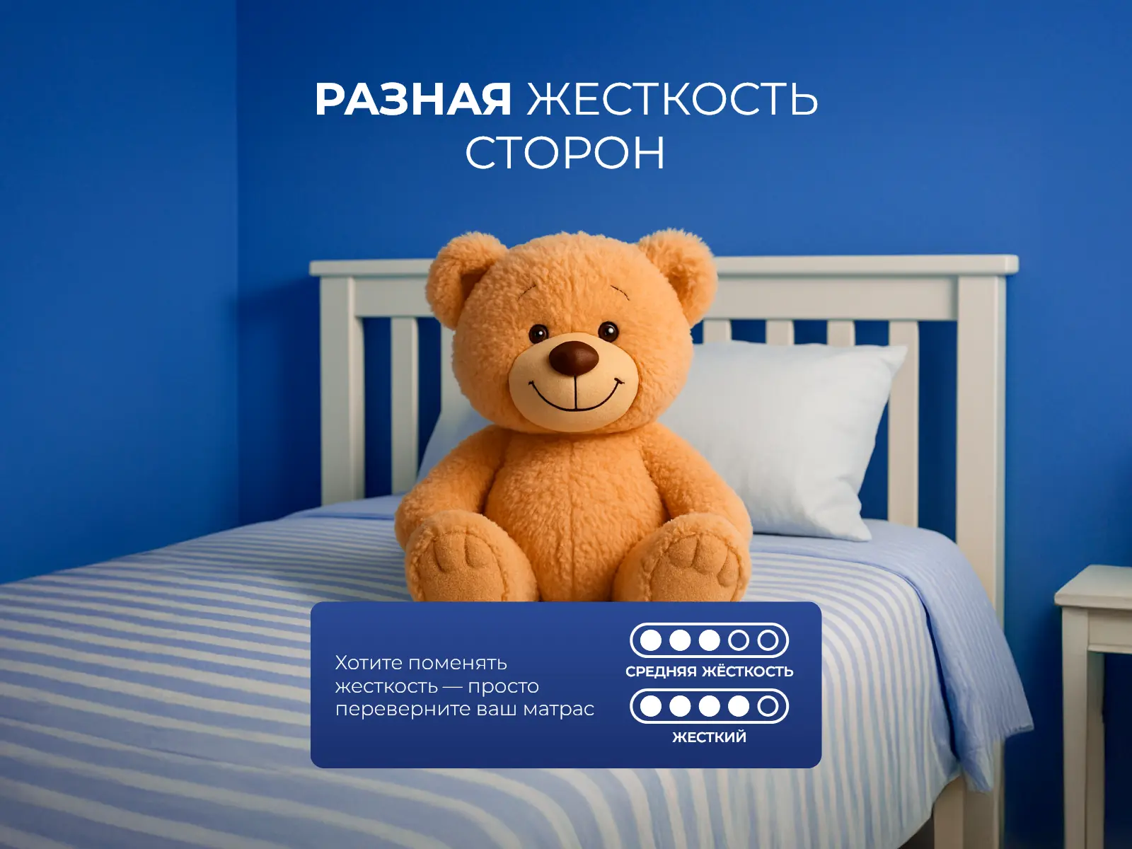 ������� �������� ����� ���� ����