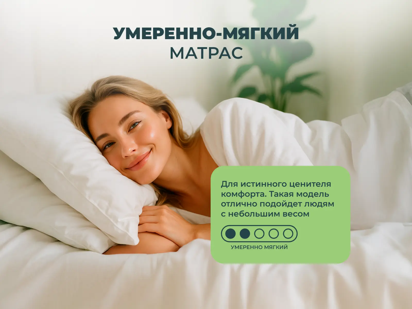 ������ Sleeptek Premier Foam Double ��������