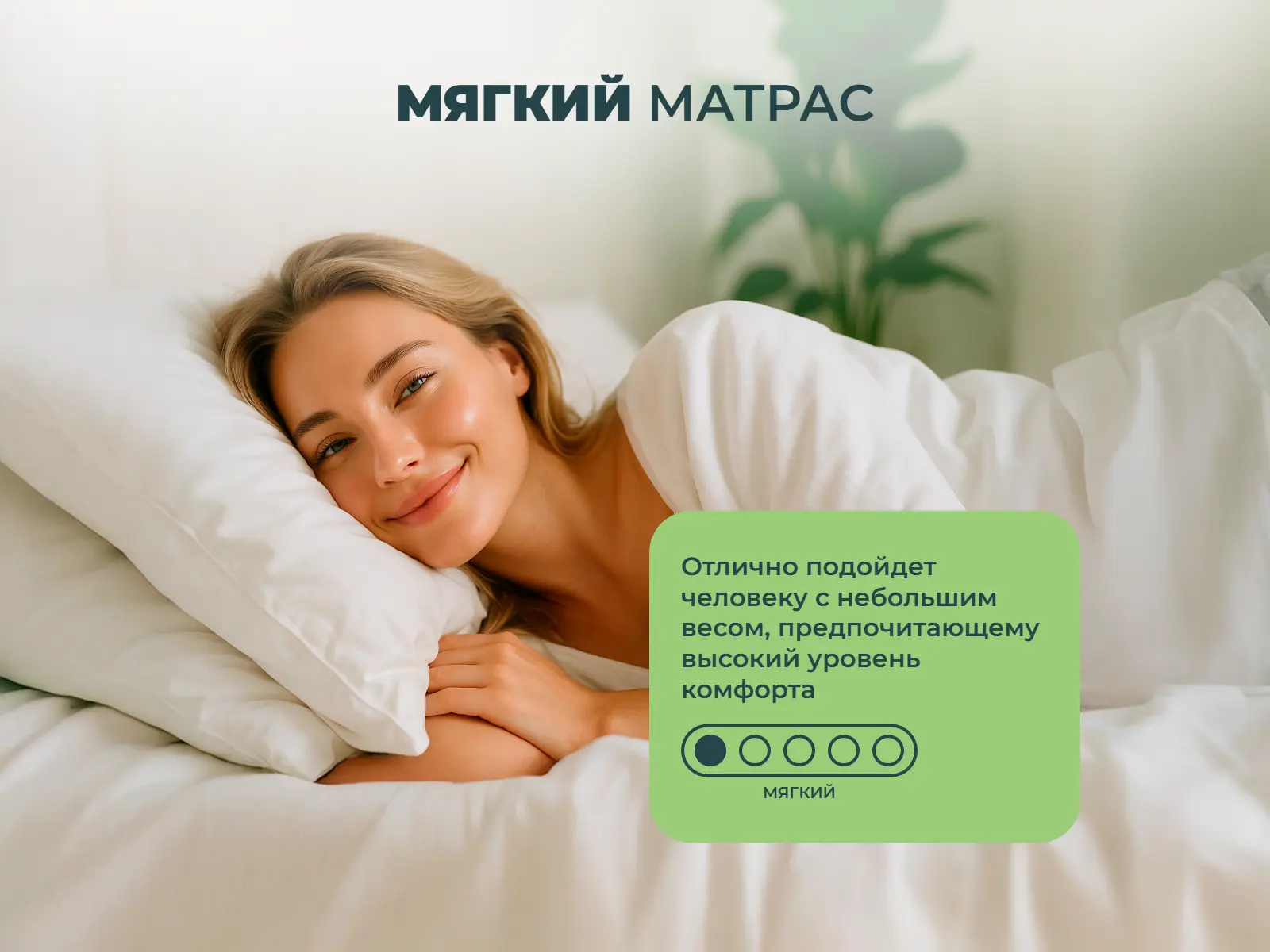 ������ Sleeptek Premier Memo Foam Double ��������