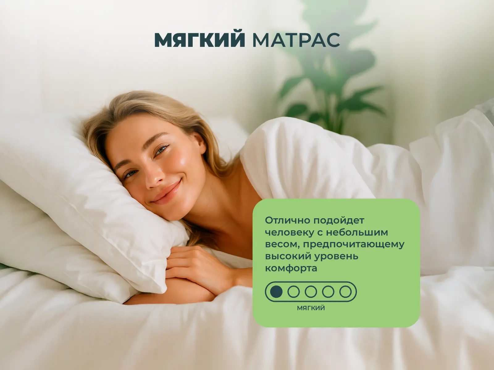 ������� ���� ���� ������