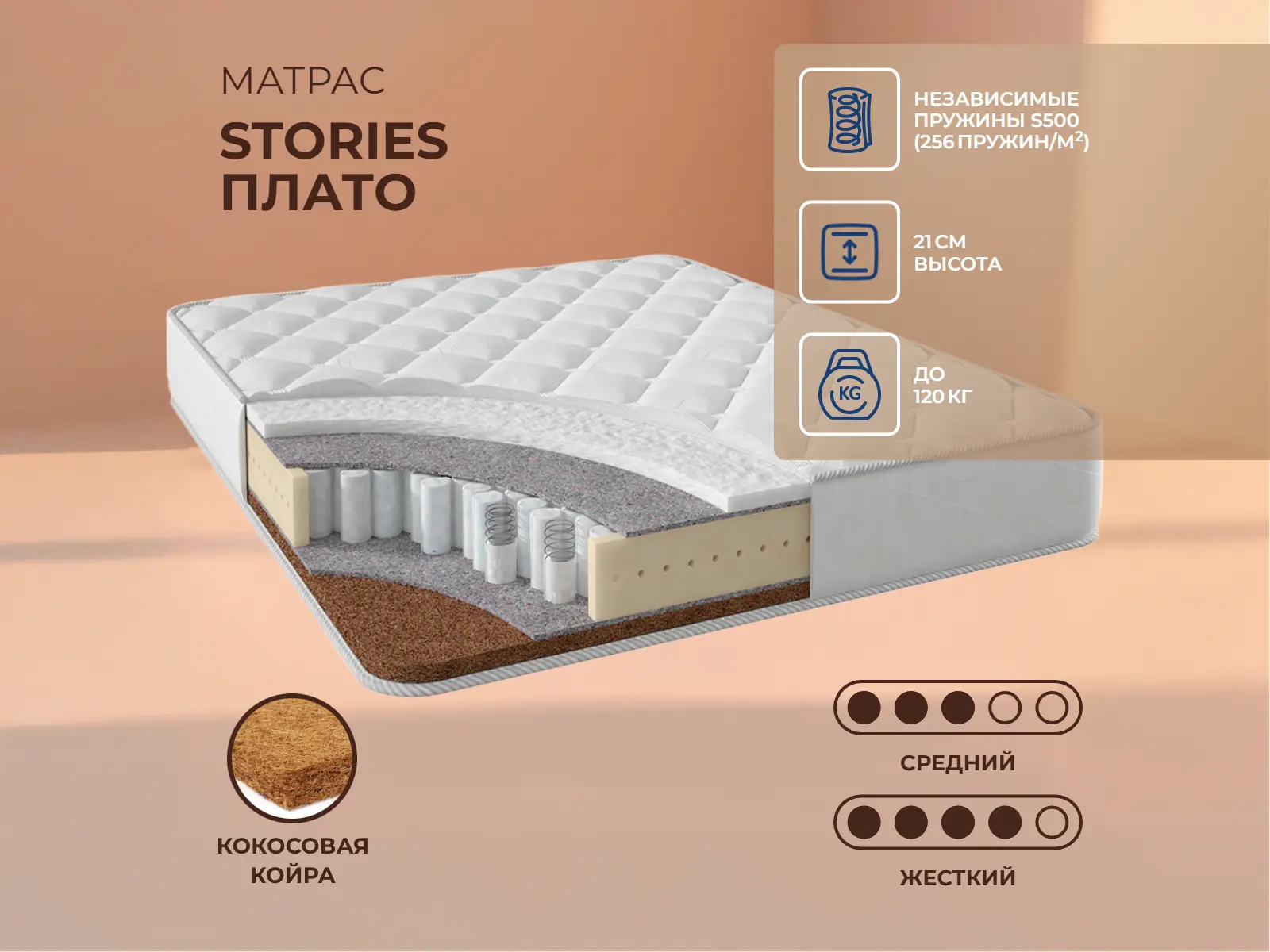 ������ ������ Stories �����