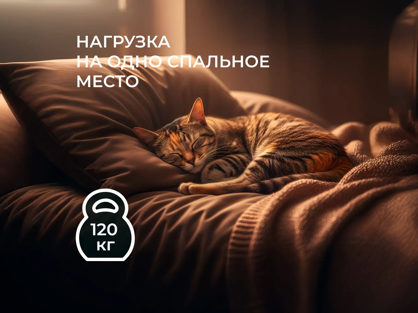 ������ Stories ������ ���� � ���� 28976 �. � ������������ ��� ������ ������������: 120 ��.