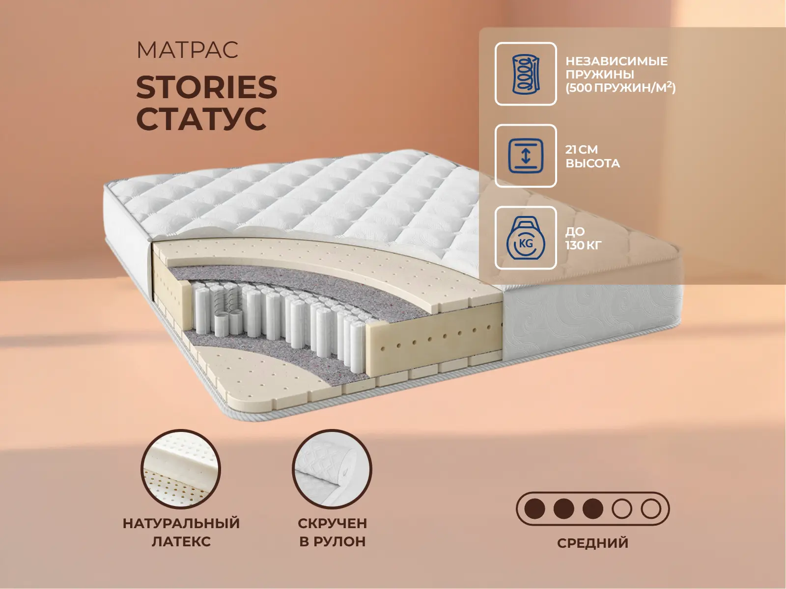 ������ ������ Stories ������