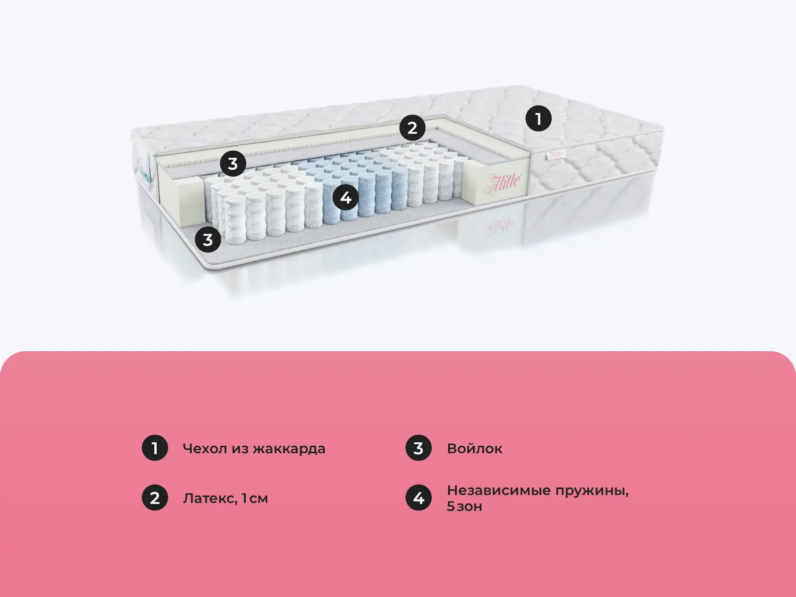 Alitte Leslie TFK S-15-N � ������