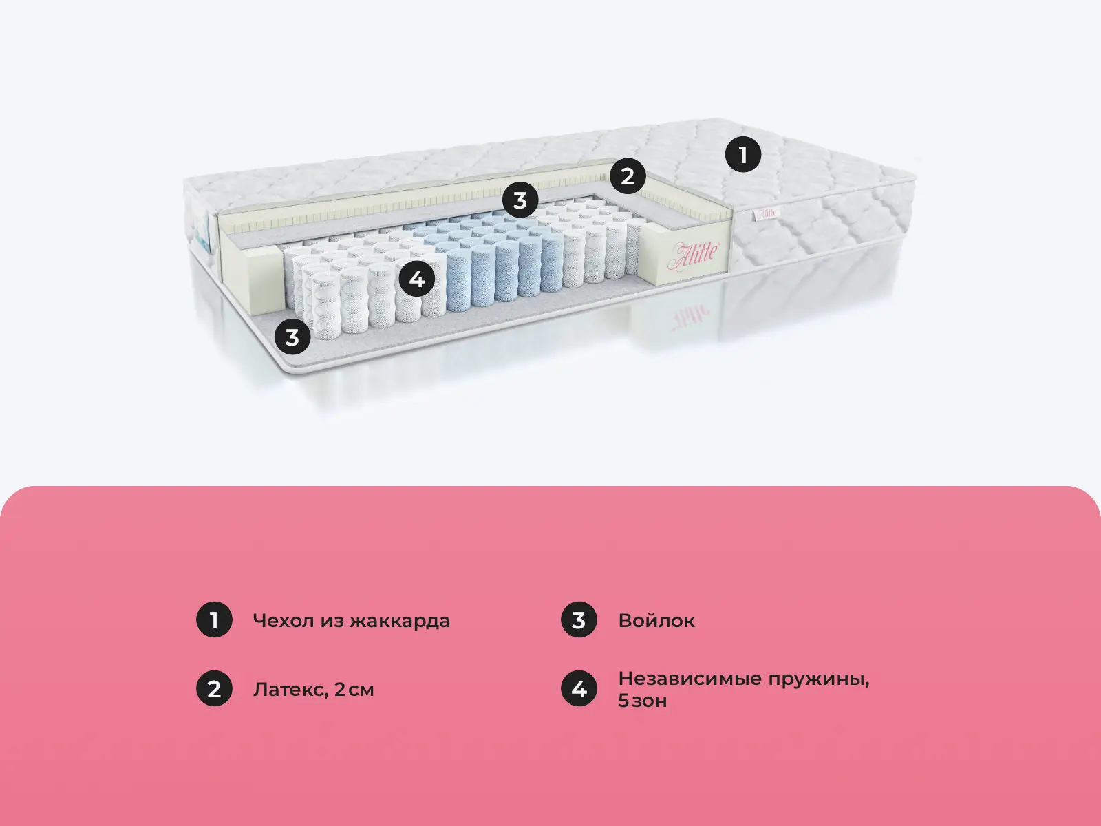 Alitte Leslie TFK S-16-N � ������