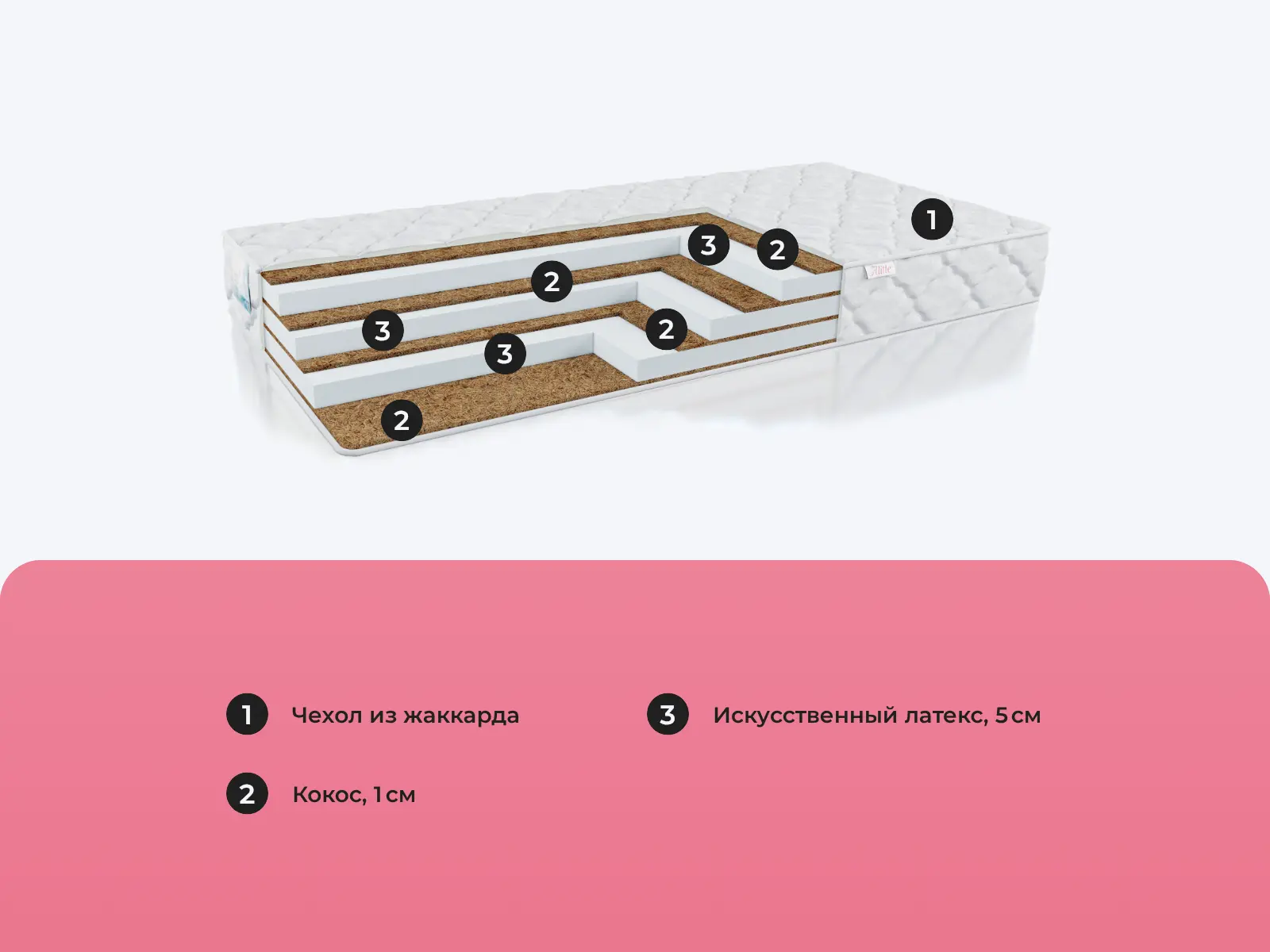 Alitte Thomas S-19-K � ������