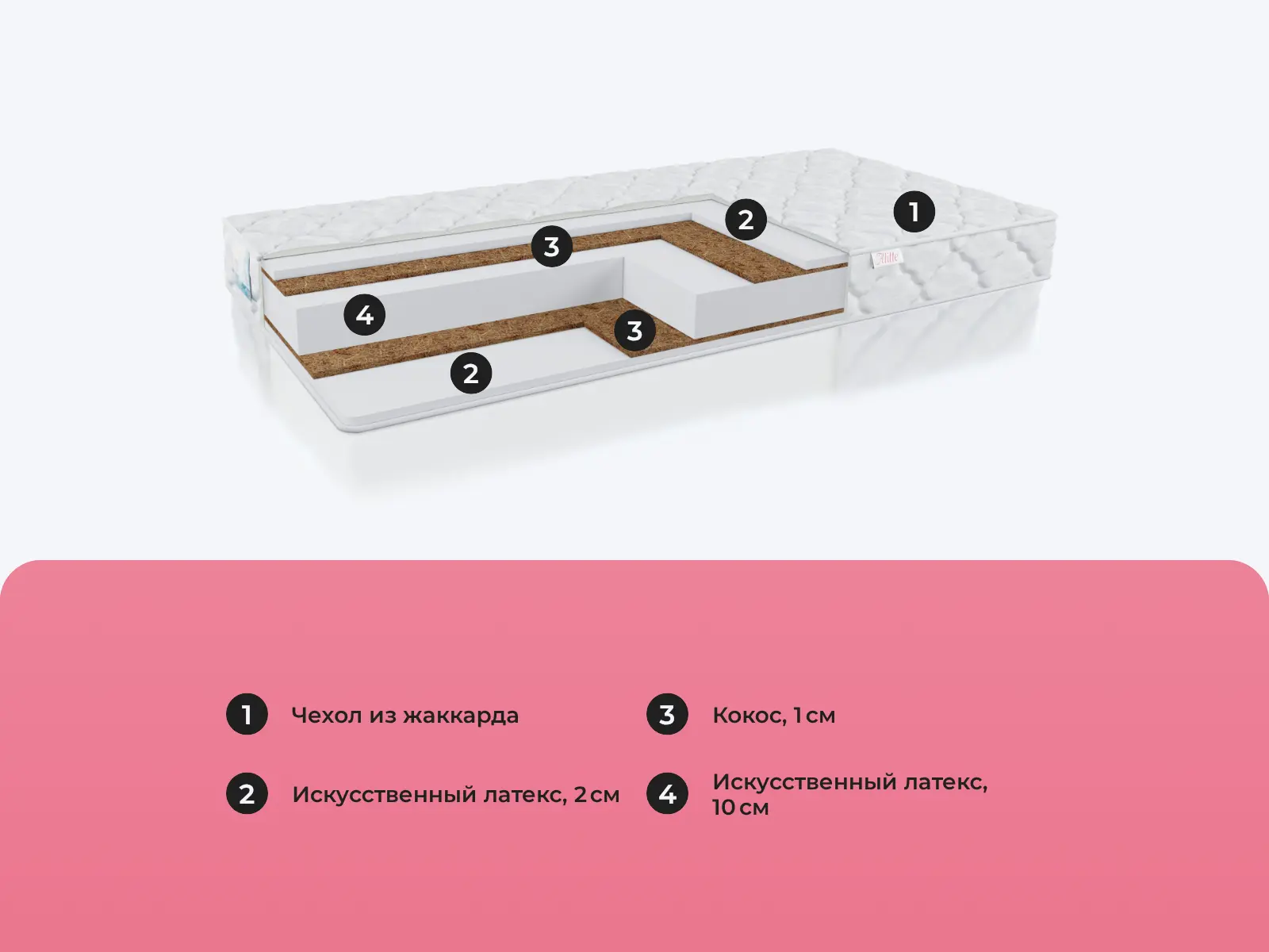 Alitte Thomas M-16-K � ����������