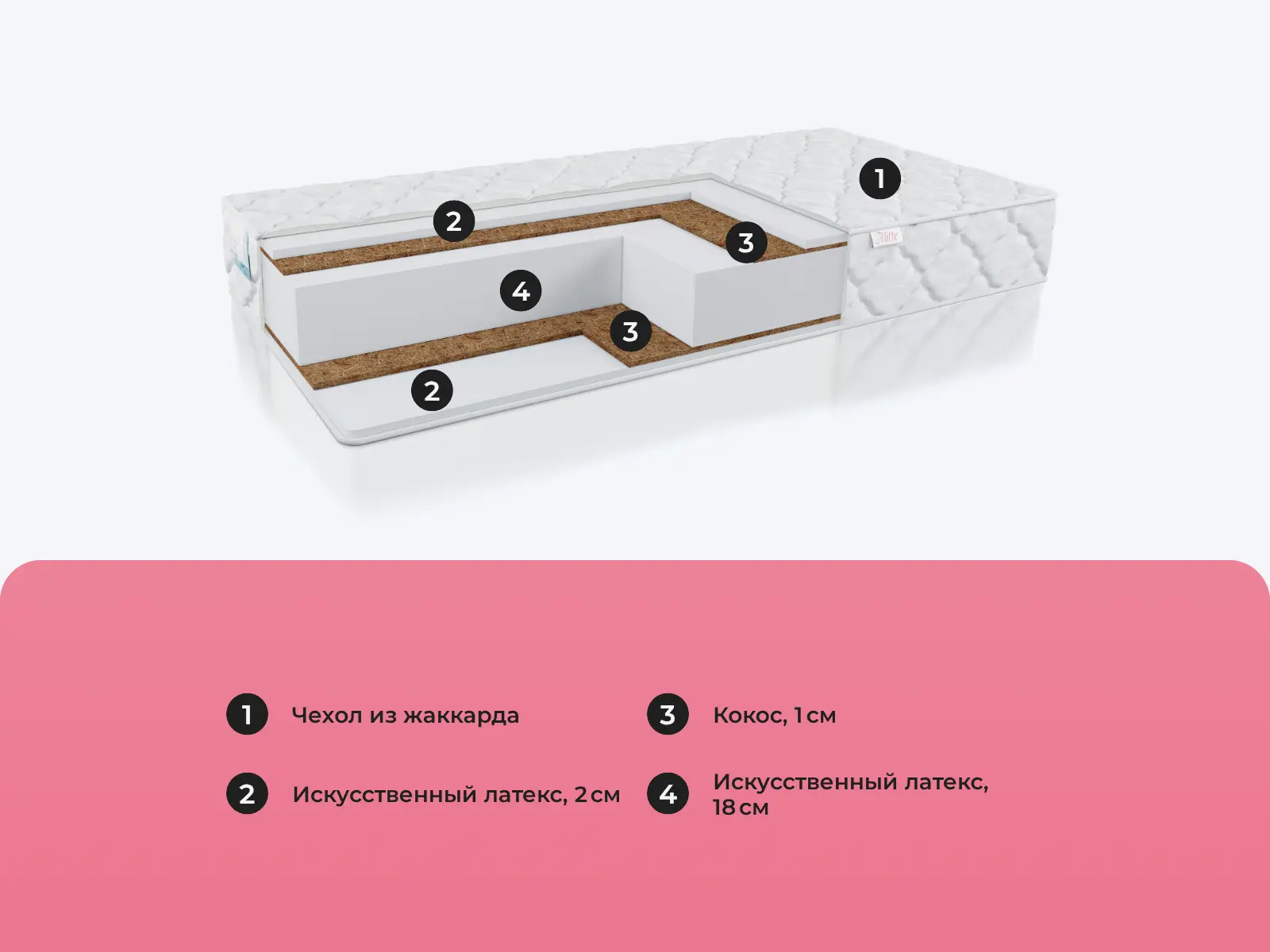 Alitte Thomas M-24-K � ����������