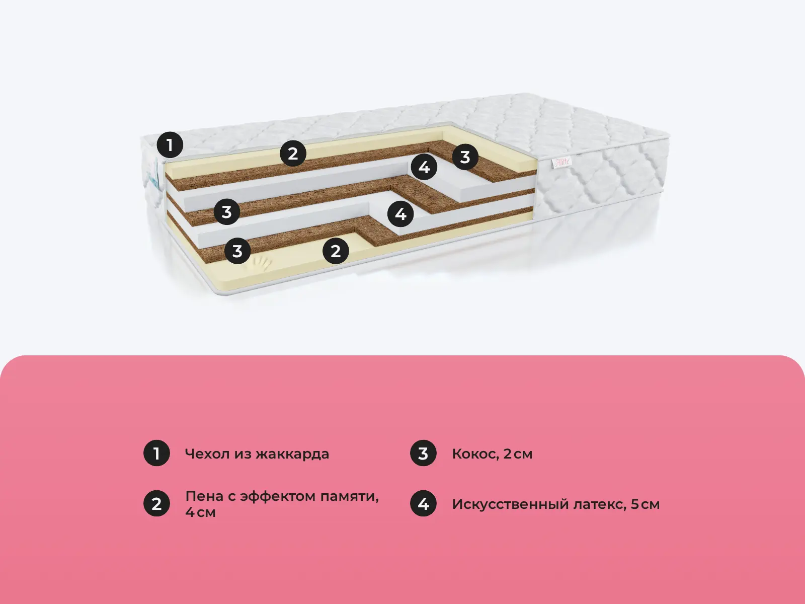 Alitte Gotti M-24-K � ������