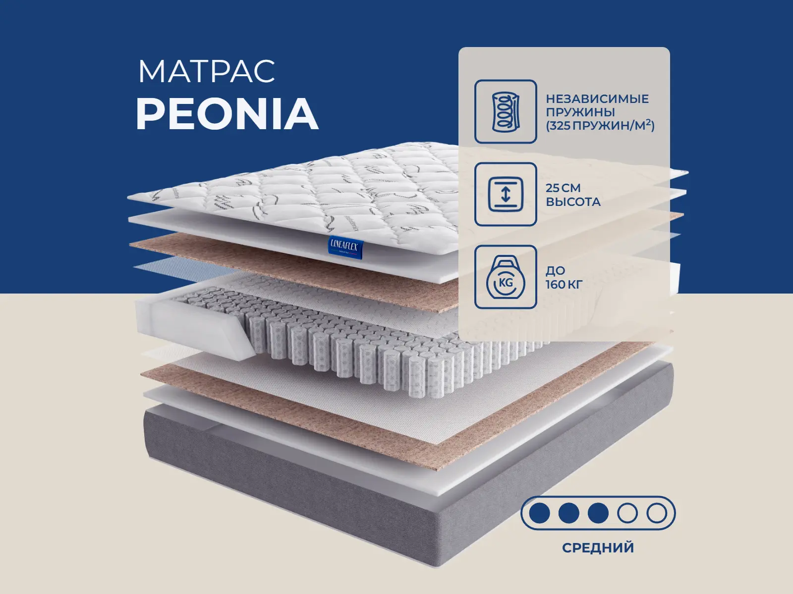 ������ ������ Lineaflex Peonia