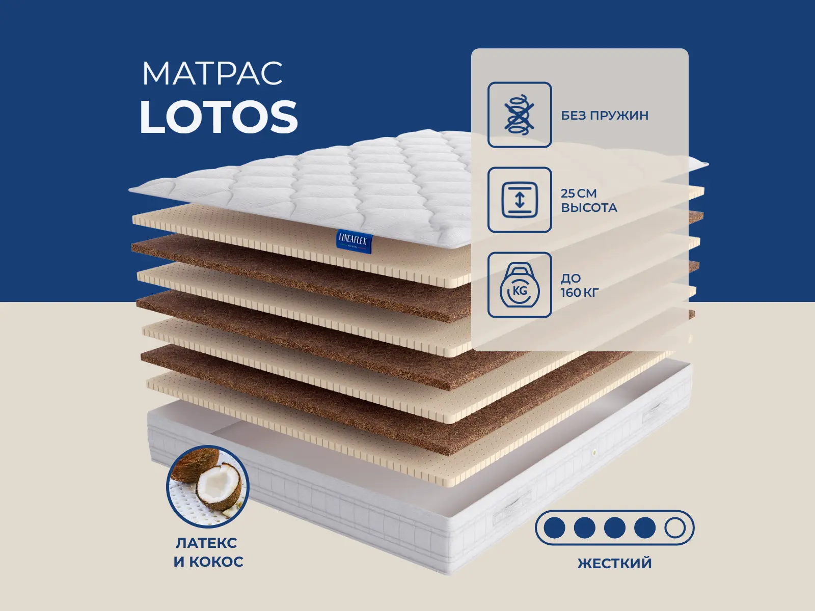 ������ ������ Lineaflex Lotos