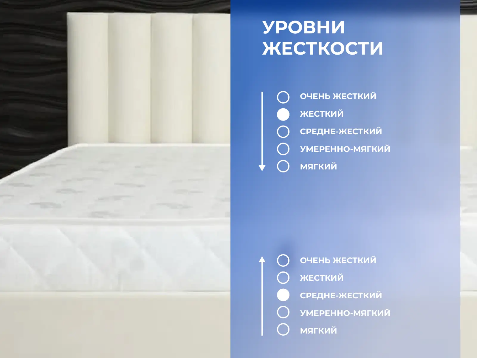 ������ Dimax ������ ���� ������ ������ ��������