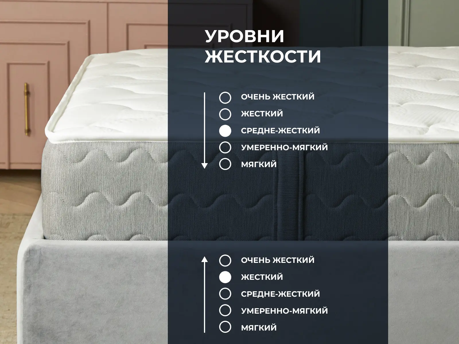 ������ Dimax �� ������� ���� ������ ��������