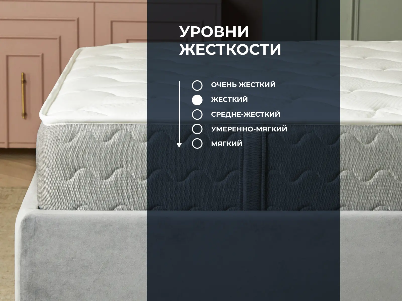 ������ Dimax �� ���� ������ ��������