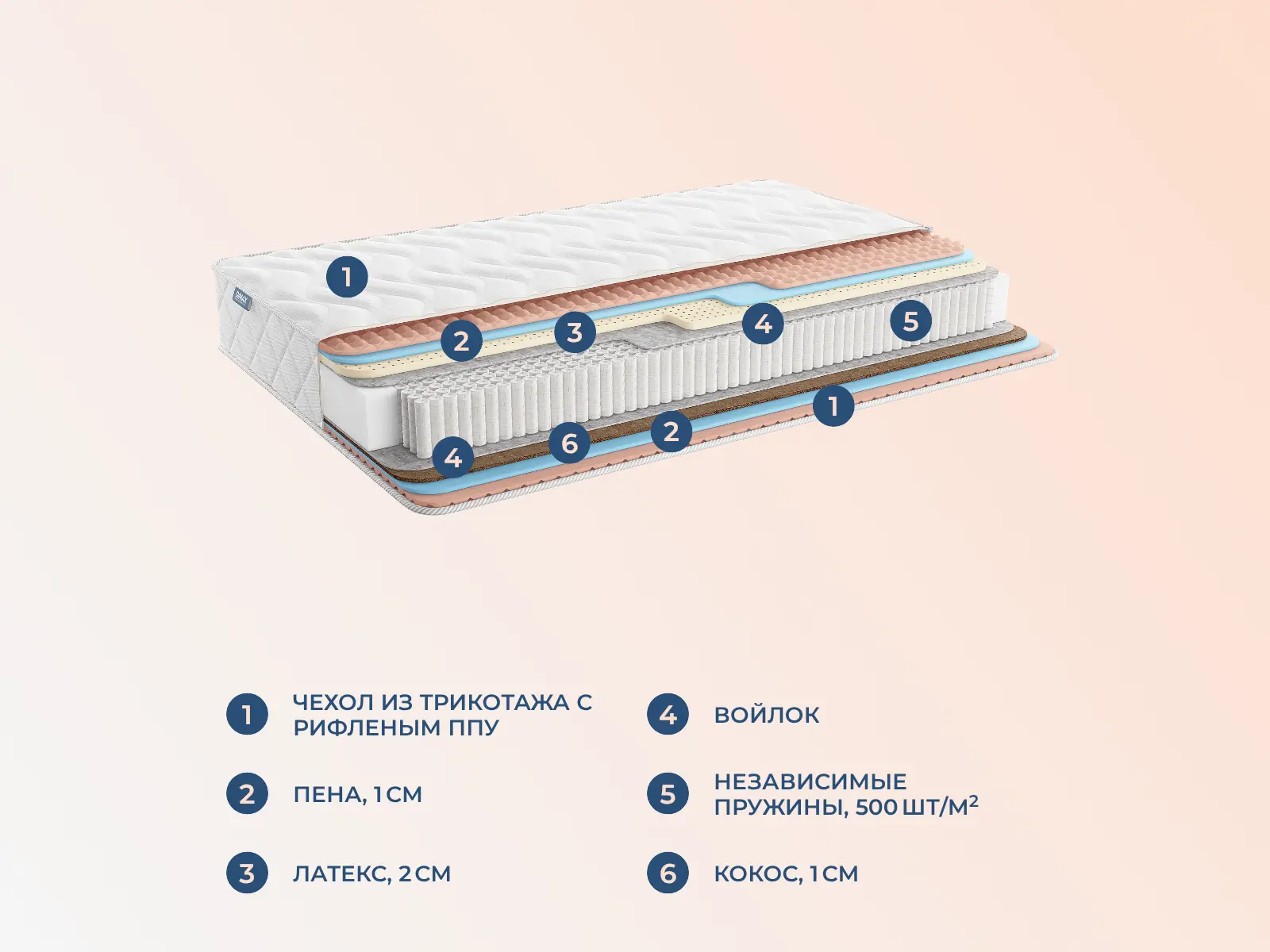 ������� ������ ������ ����